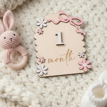 Baby Girl Monthly Milestone Signs, 1-12 Monthly Baby Milestone Girl, Newborn Photography Props Double-Sided, Nursery Decor for Girls (M02)