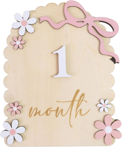 Baby Girl Monthly Milestone Signs, 1-12 Monthly Baby Milestone Girl, Newborn Photography Props Double-Sided, Nursery Decor for Girls (M02)