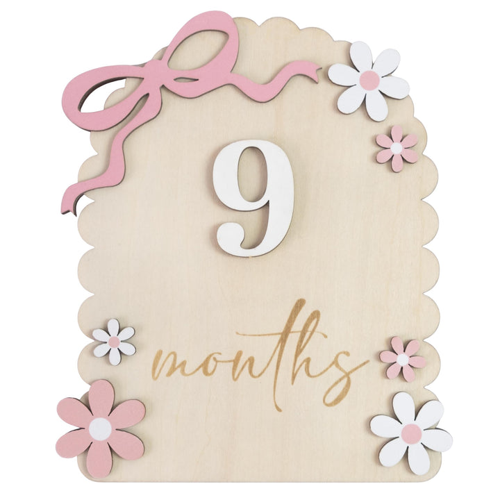 Baby Girl Monthly Milestone Signs, 1-12 Monthly Baby Milestone Girl, Newborn Photography Props Double-Sided, Nursery Decor for Girls (M02)