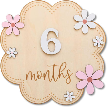 Baby Girl Monthly Milestone Signs, 1-12 Monthly Baby Milestone Girl, Newborn Photography Props Double-Sided, Nursery Decor for Girls (M07)