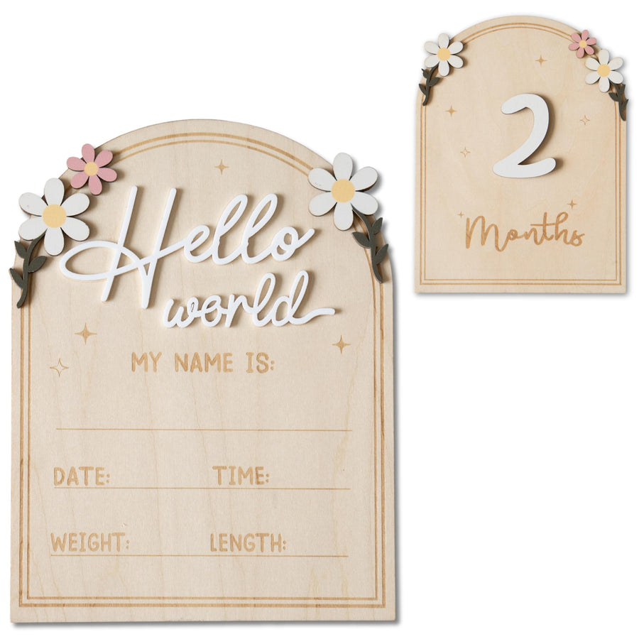 Baby Announcement Sign, Hello World Newborn Sign for Hospital, She’s Here Card, Baby Announcements Ideas, Newborn Photography Props Double-Sided (HW4)