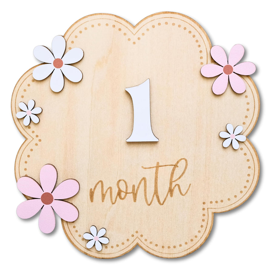 Baby Girl Monthly Milestone Signs, 1-12 Monthly Baby Milestone Girl, Newborn Photography Props Double-Sided, Nursery Decor for Girls (M07)